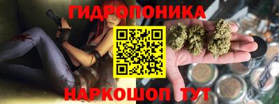 ECSTASY Новозыбков