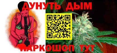 ECSTASY Новозыбков