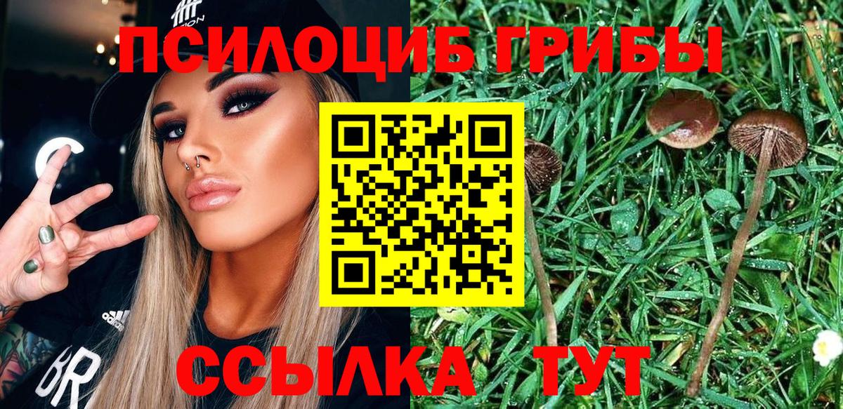 Псилоцибиновые грибы Psilocybe  Вход с VPN  Сочи  Псилоцибиновые грибы мухоморы 